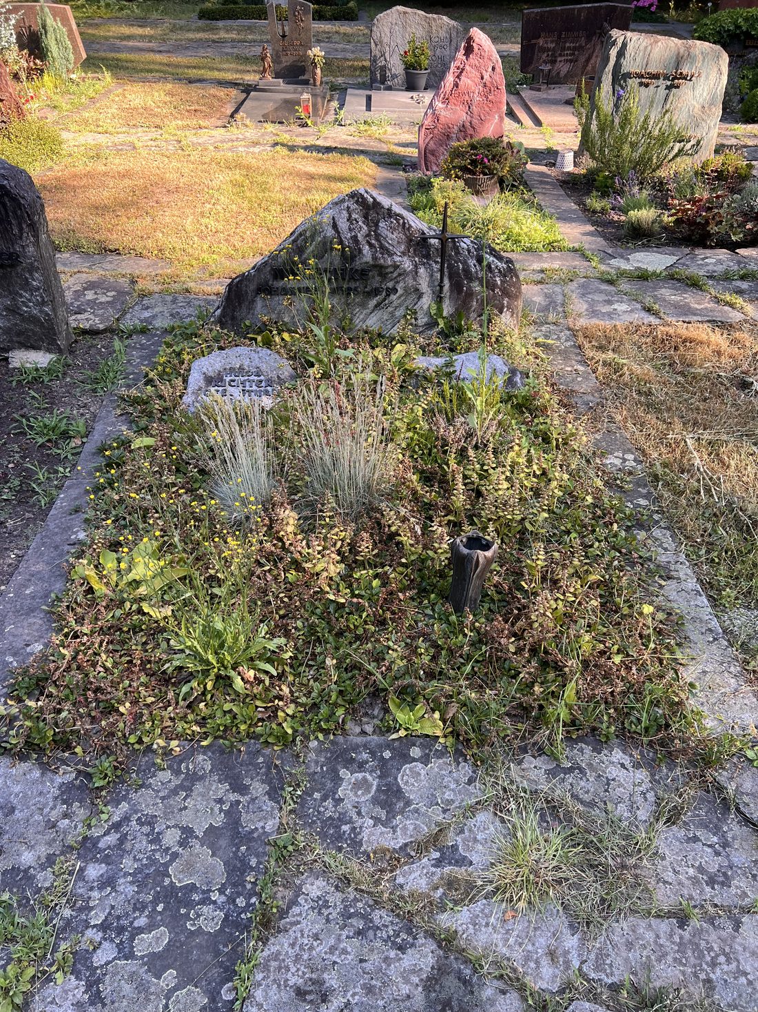 Tatsächlicher Zustand: vernachlässigtes, verwildertes Grab